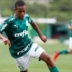 Palmeiras recusou proposta alta por Estêvão